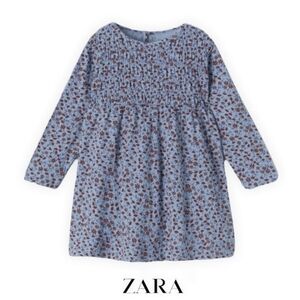 Zara 3-4T Floral Blue and Brown Kids Dress